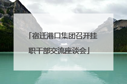 宿迁港口集团召开挂职干部交流座谈会