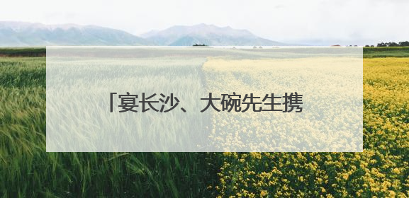 宴长沙、大碗先生携手入驻 长沙佳海工业园“满员运行”
