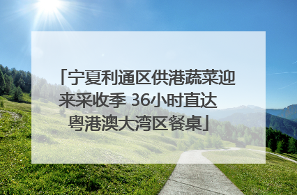 宁夏利通区供港蔬菜迎来采收季 36小时直达粤港澳大湾区餐桌