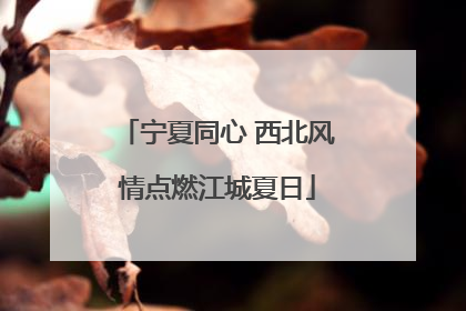 宁夏同心 西北风情点燃江城夏日