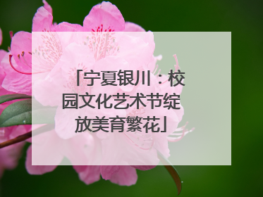 宁夏银川：校园文化艺术节绽放美育繁花