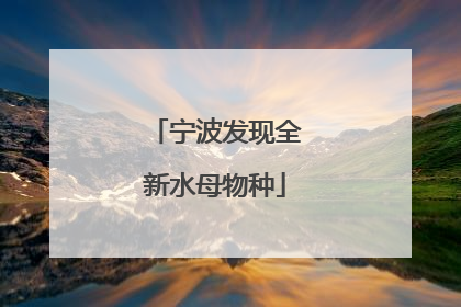宁波发现全新水母物种