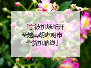 宁波机场新开至越南胡志明市全货机航线