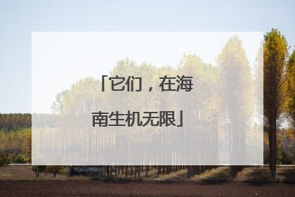 它们，在海南生机无限