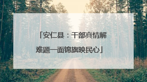 安仁县：干部真情解难题一面锦旗映民心