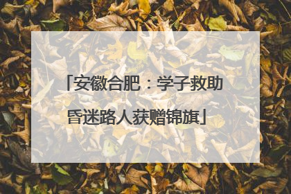 安徽合肥：学子救助昏迷路人获赠锦旗