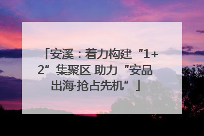 安溪：着力构建“1+2”集聚区 助力“安品出海·抢占先机”