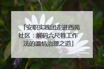 安职实践团走进西苑社区：解码六尺巷工作法的温情治理之道