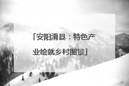 安阳滑县：特色产业绘就乡村图景