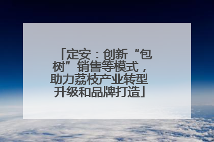 定安：创新“包树”销售等模式，助力荔枝产业转型升级和品牌打造
