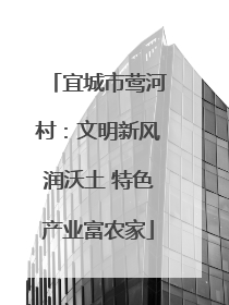 宜城市莺河村：文明新风润沃土 特色产业富农家