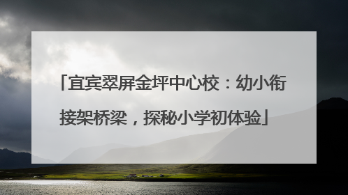 宜宾翠屏金坪中心校：幼小衔接架桥梁，探秘小学初体验