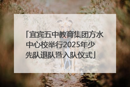 宜宾五中教育集团方水中心校举行2025年少先队退队暨入队仪式