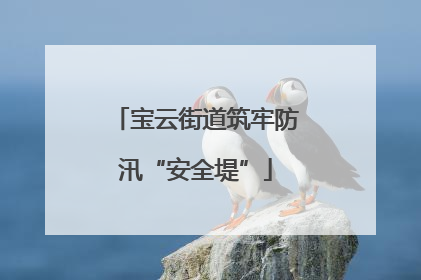 宝云街道筑牢防汛“安全堤”