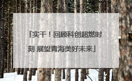 实干！回顾科创超燃时刻 展望青海美好未来