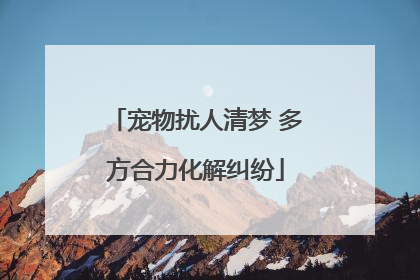 宠物扰人清梦 多方合力化解纠纷