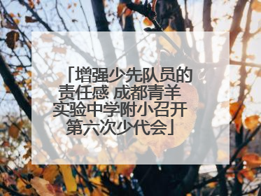 增强少先队员的责任感 成都青羊实验中学附小召开第六次少代会