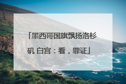 墨西哥国旗飘扬洛杉矶 白宫：看，罪证