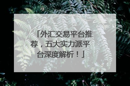 外汇交易平台推荐，五大实力派平台深度解析！