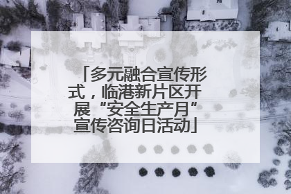 多元融合宣传形式，临港新片区开展“安全生产月”宣传咨询日活动