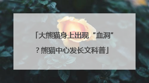 大熊猫身上出现“血洞”？熊猫中心发长文科普