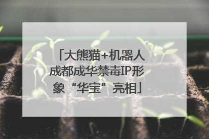 大熊猫+机器人 成都成华禁毒IP形象“华宝”亮相