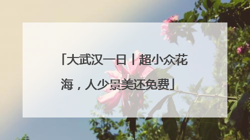大武汉一日丨超小众花海，人少景美还免费