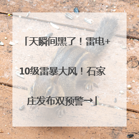 天瞬间黑了！雷电+10级雷暴大风！石家庄发布双预警→