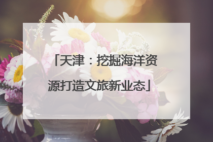 天津：挖掘海洋资源打造文旅新业态