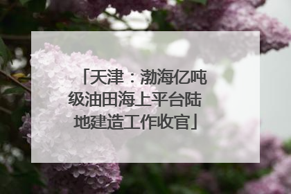 天津：渤海亿吨级油田海上平台陆地建造工作收官