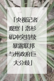 央视记者观察丨洛杉矶冲突持续 暴露联邦与州政府巨大分歧