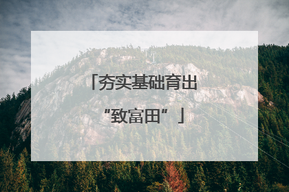 夯实基础育出“致富田”