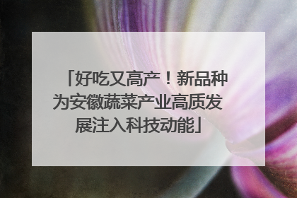 好吃又高产！新品种为安徽蔬菜产业高质发展注入科技动能