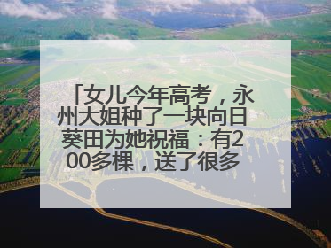 女儿今年高考，永州大姐种了一块向日葵田为她祝福：有200多棵，送了很多给其他家长