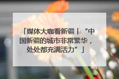 媒体大咖看新疆丨“中国新疆的城市非常繁华，处处都充满活力”