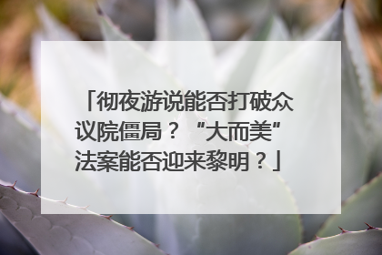 彻夜游说能否打破众议院僵局？“大而美”法案能否迎来黎明？