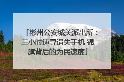彬州公安城关派出所：三小时速寻遗失手机 锦旗背后的为民速度