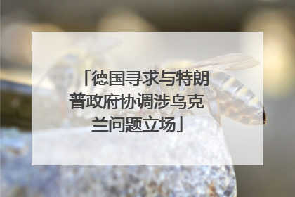 德国寻求与特朗普政府协调涉乌克兰问题立场