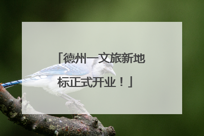 德州一文旅新地标正式开业！