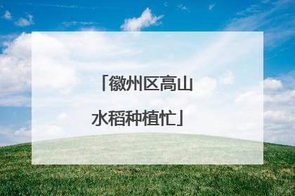 徽州区高山水稻种植忙