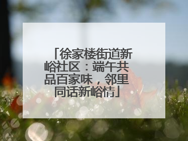 徐家楼街道新峪社区：端午共品百家味，邻里同话新峪情