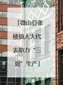微山县张楼镇人大代表助力“三夏”生产