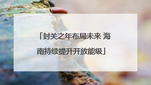 封关之年布局未来 海南持续提升开放能级
