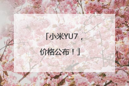 小米YU7，价格公布！