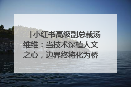小红书高级副总裁汤维维：当技术深植人文之心，边界终将化为桥梁｜聚焦2025文化强国建设高峰论坛