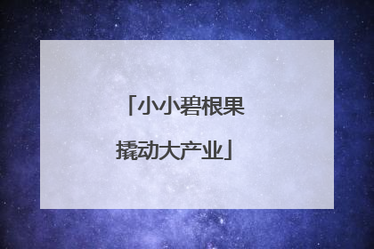 小小碧根果撬动大产业