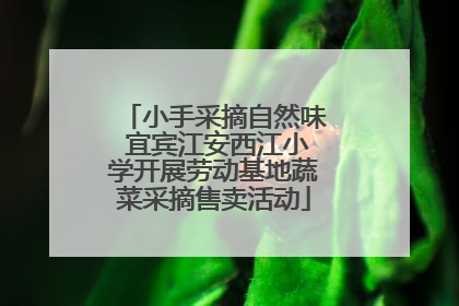 小手采摘自然味 宜宾江安西江小学开展劳动基地蔬菜采摘售卖活动