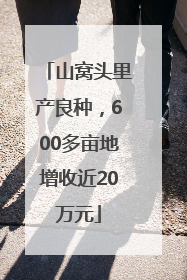 山窝头里产良种，600多亩地增收近20万元