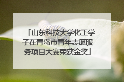山东科技大学化工学子在青岛市青年志愿服务项目大赛荣获金奖