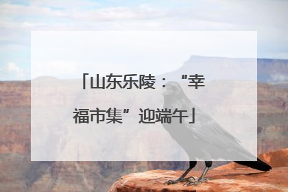 山东乐陵：“幸福市集”迎端午